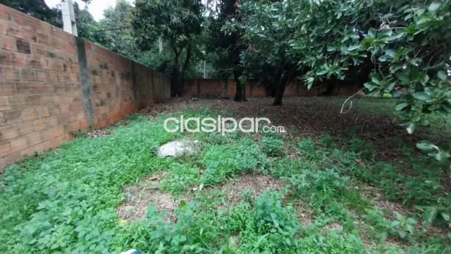 ✨ Terreno en venta en Lambaré — foto 3