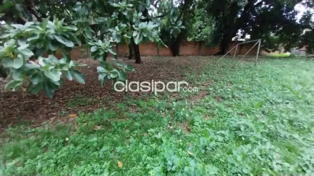 ✨ Terreno en venta en Lambaré — foto 4