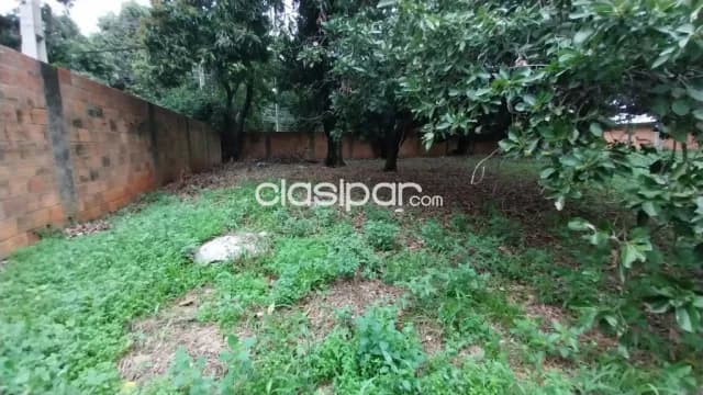 ✨ Terreno en venta en Lambaré — foto 5