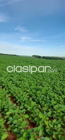 San pedro, yrybucuá, venta: 1.000 has, c/ infraestructura, apta p/ siembra por excelencia, foto 2