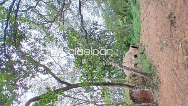 terreno en Aregua, foto 4