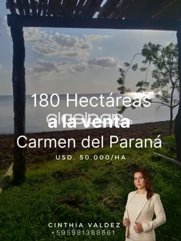 Propiedad de gran escala con acceso al río en Carmen del Paraná — foto 2