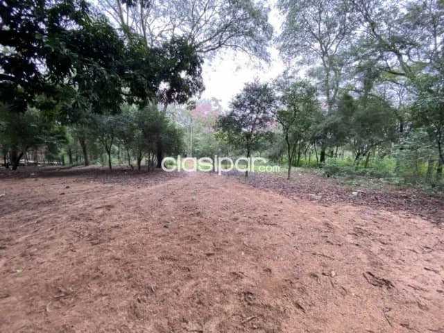 Terreno en La Suiza 2 San Bernardino — foto 5