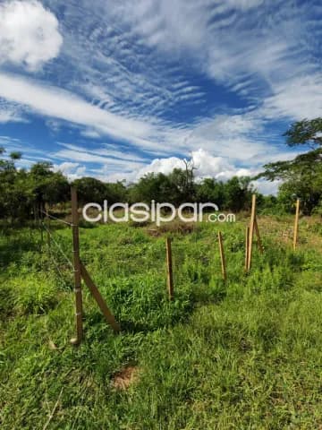 Terrenos en guarambare — foto 2