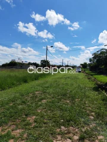 Terrenos en guarambare — foto 4