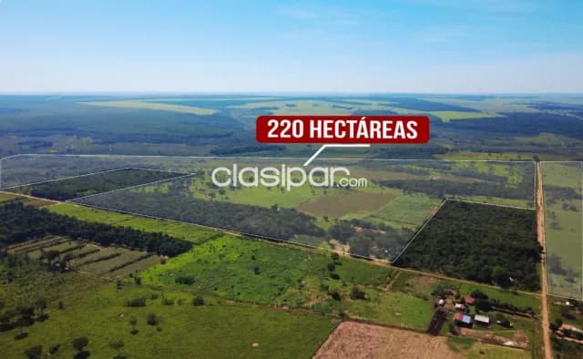 🚜 ¡oportunidad agroganadera en santaní! Estancia san alfredo, foto 2