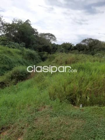 Terreno en juan leon mallorquin sobre ruta — foto 5