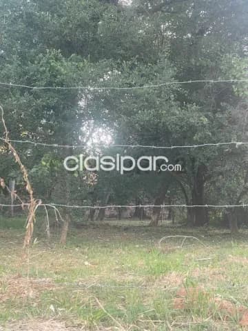 de Terreno en Mariano Roque Alonso, Central, foto 2