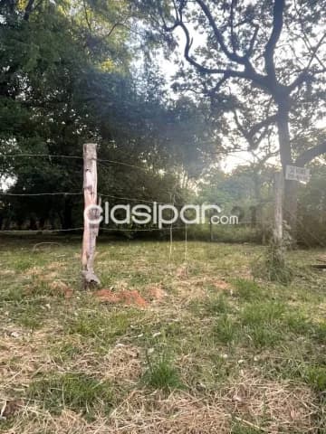 de Terreno en Mariano Roque Alonso, Central, foto 3
