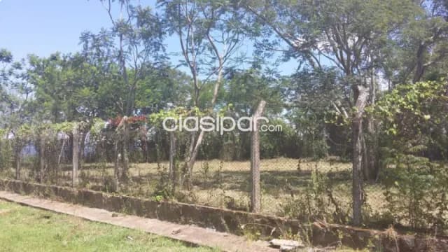 terreno de 664 m2 en Ycua Sati, foto 2