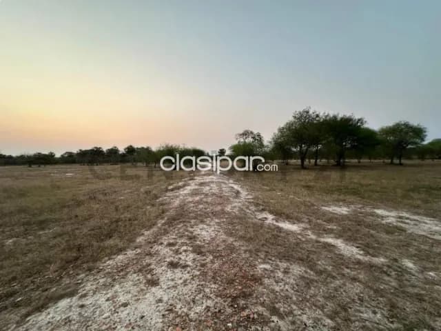 20 hectareas en chaco-i, foto 3