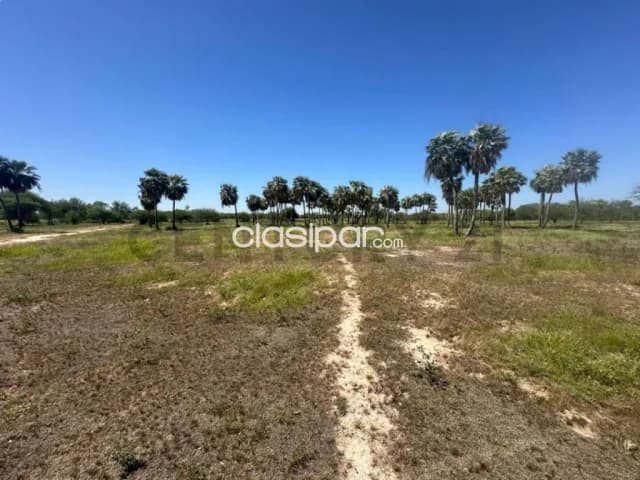 10 hectareas en chaco-i, foto 4