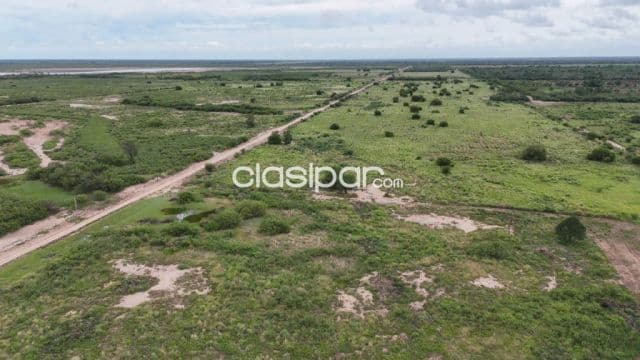 Campo Ganadero en Irala Fernández - 500 Ha