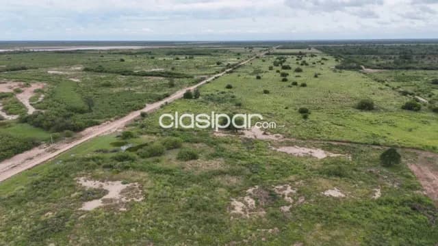 Campo Ganadero en Irala Fernández - 500 Ha — foto 2