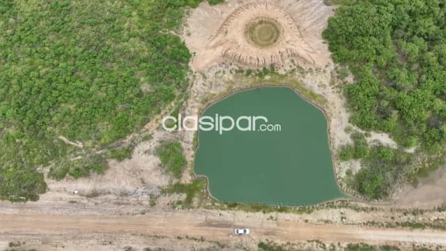 Campo Ganadero en Irala Fernández - 500 Ha — foto 3