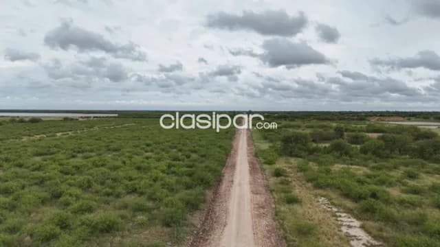 Campo Ganadero en Irala Fernández - 500 Ha — foto 4