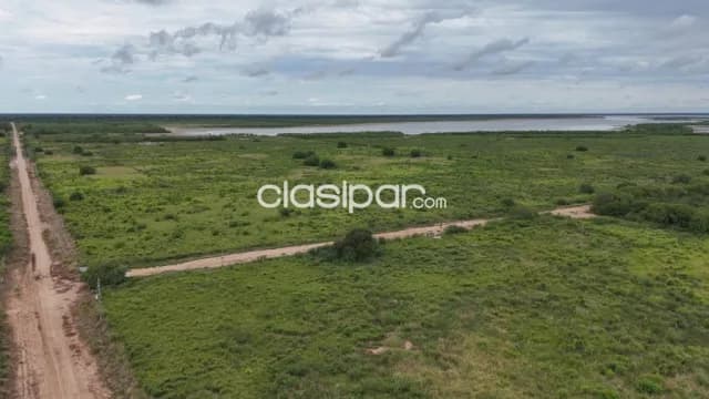 Campo Ganadero en Irala Fernández - 500 Ha — foto 5