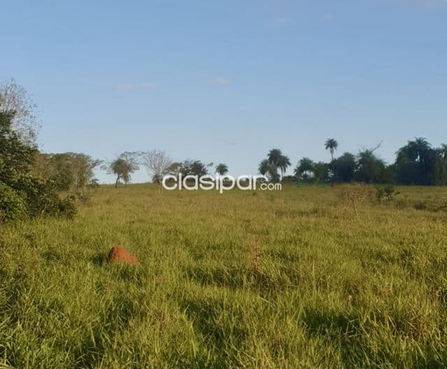 Terreno Rural en Repatriación - 20 Ha