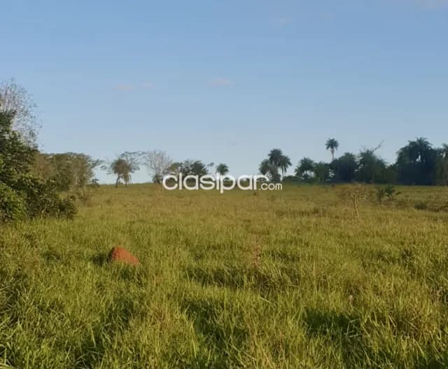 Terreno Rural en Repatriación - 20 Ha, foto 2