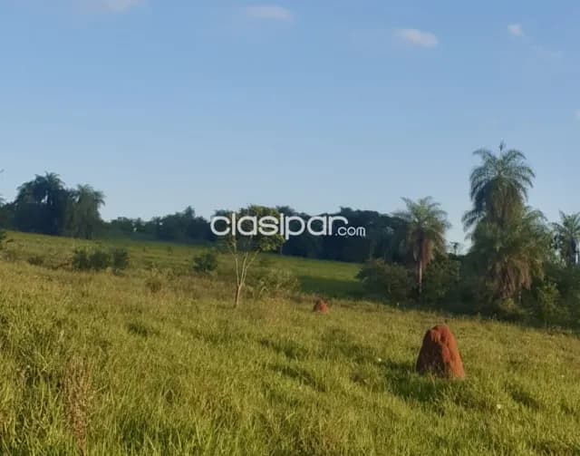Terreno Rural en Repatriación - 20 Ha, foto 3