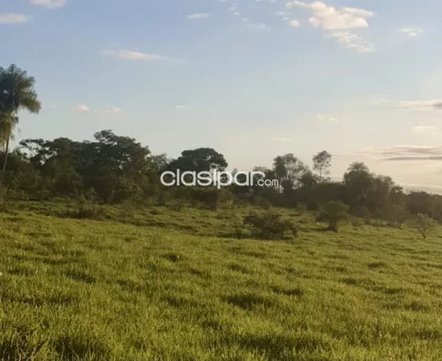 Terreno Rural en Repatriación - 20 Ha, foto 4