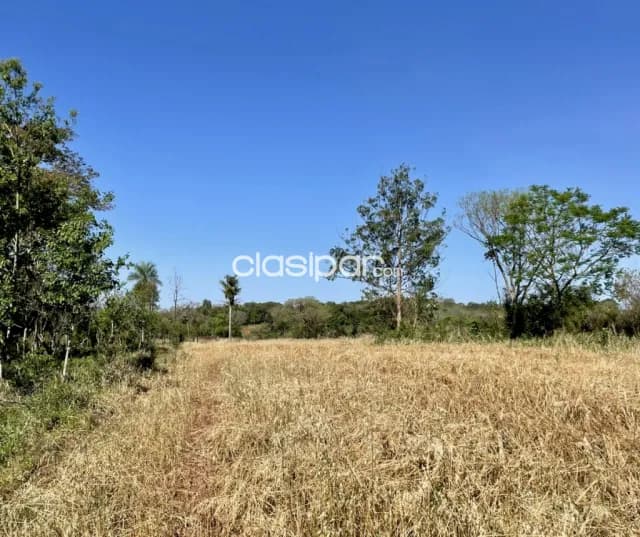 Terreno Rural en Mina Guazú - 18 Ha — foto 2