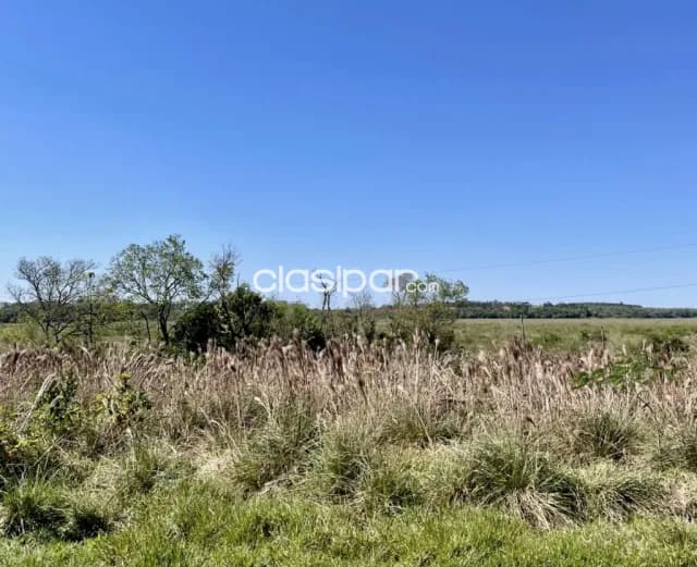 Terreno Rural en Mina Guazú - 18 Ha — foto 3