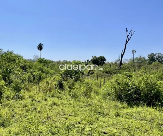 Terreno Rural en Mina Guazú - 18 Ha — foto 5