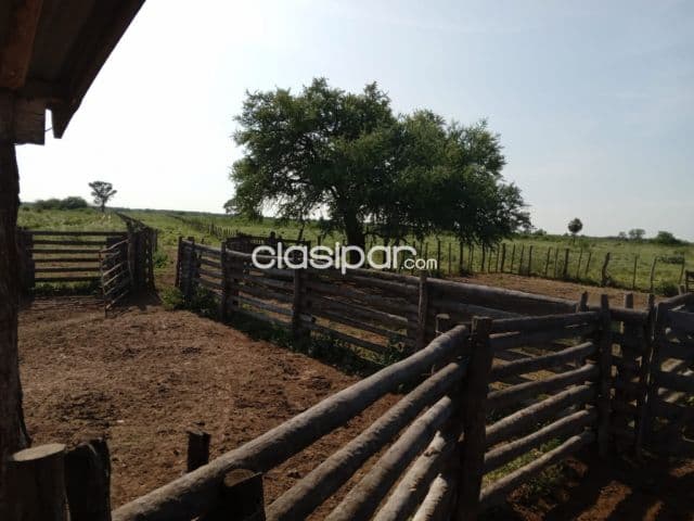 Campo Ganadero de 500 Has en Tte. 1º Manuel Irala Fernández - CLCS8050303, foto 1