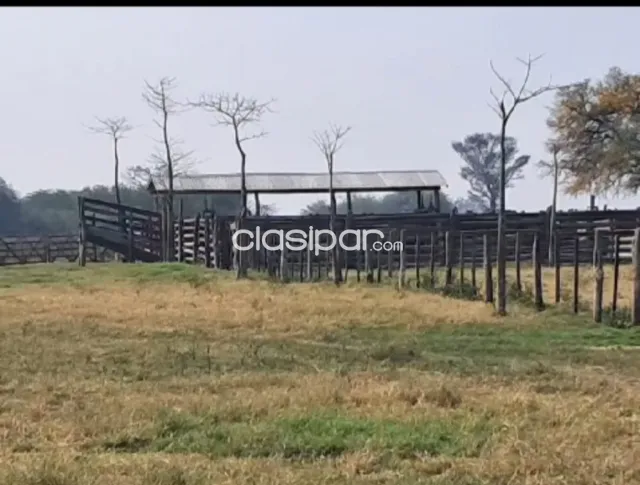 Campo Ganadero de 500 Has en Tte. 1º Manuel Irala Fernández - CLCS8050303, foto 5
