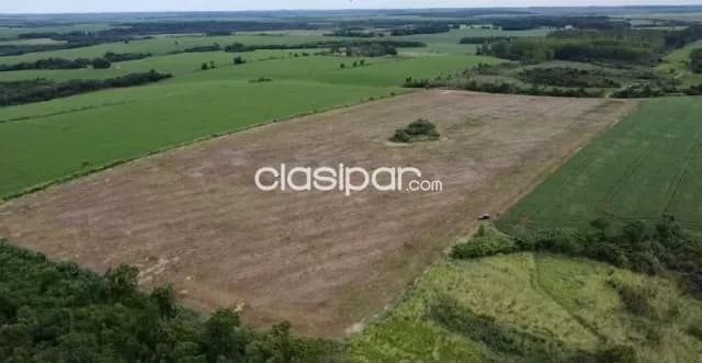 Terreno Rural en Minga Guazú - 21 Ha — foto 2