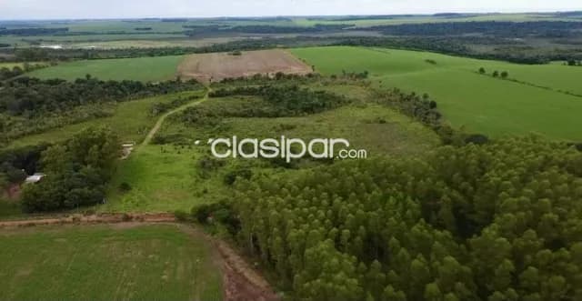Terreno Rural en Minga Guazú - 21 Ha — foto 3