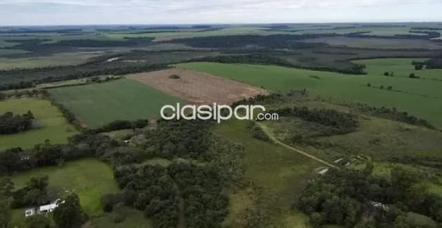 Terreno Rural en Minga Guazú - 21 Ha — foto 5