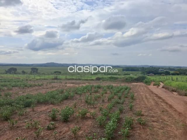 Campo Agrícola Mecanizado en San Cristobal - 100 Ha, foto 3
