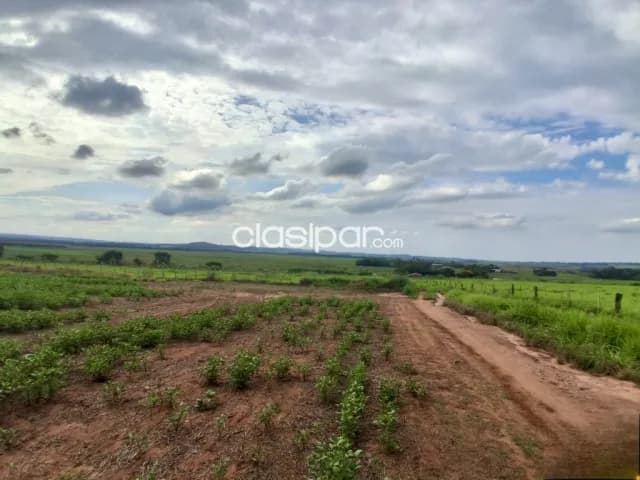 Campo Agrícola Mecanizado en San Cristobal - 100 Ha, foto 4