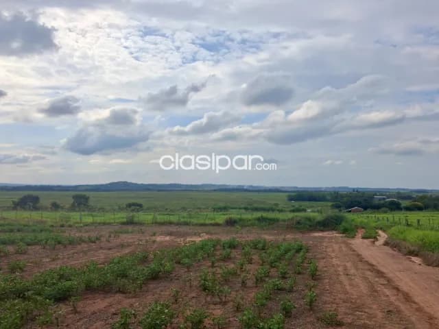 Campo Agrícola Mecanizado en San Cristobal - 100 Ha, foto 5