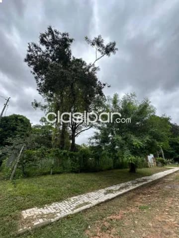 Terreno en San Bernardino — foto 2