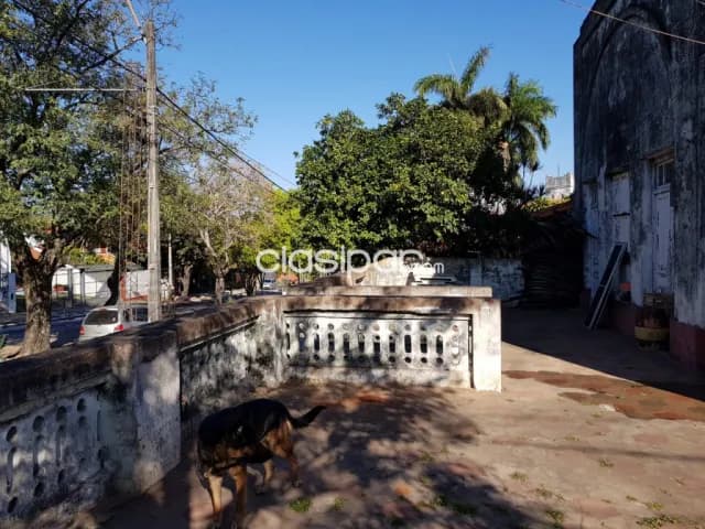Terreno en esquina en sajonia 660 mts2, foto 3