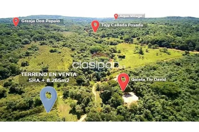 5 hectáreas y 8,265 en altos cordillera — foto 2