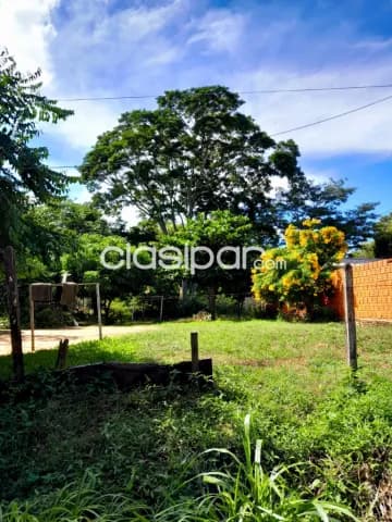 Terreno en mariano r, alonso — foto 3
