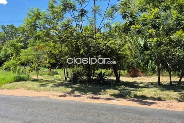 Terreno 2.500 m2 ideal p/todo proyecto en ytororo-ypane — foto 4