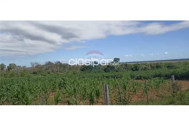 70 hectareas en localidad ma.antonia districto mbuyapey-paraguari a 207 km de asunci — foto 3