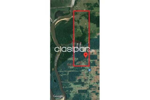 70 hectareas en localidad ma.antonia districto mbuyapey-paraguari a 207 km de asunci — foto 4