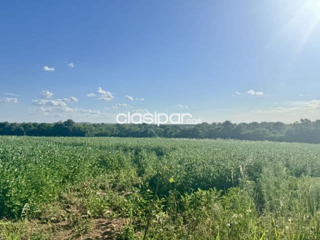 Terreno Rural en Juan Leon Leon Mallorquin - 25 Ha — foto 1