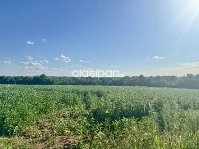 Terreno Rural en Juan Leon Leon Mallorquin - 25 Ha — foto 2