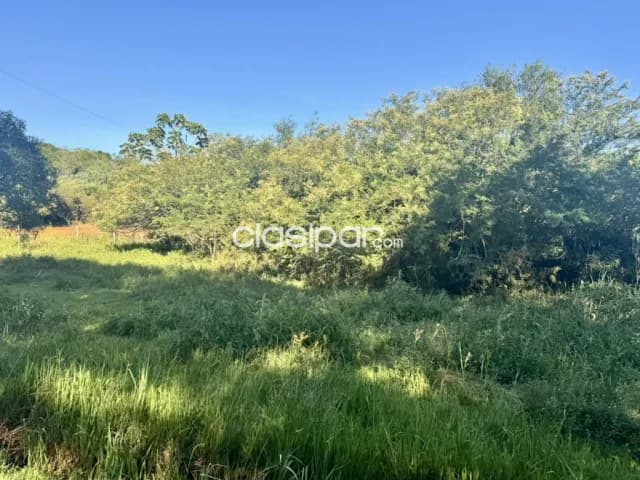 Terreno Rural en Juan Leon Leon Mallorquin - 25 Ha — foto 3