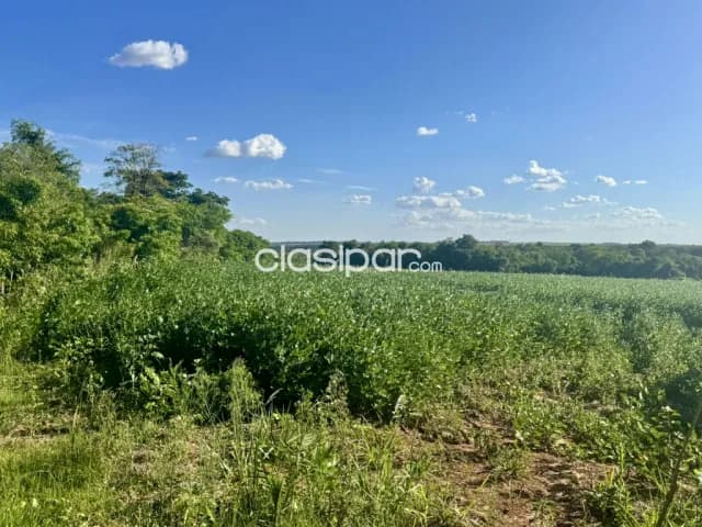 Terreno Rural en Juan Leon Leon Mallorquin - 25 Ha — foto 4