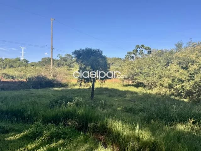 Terreno Rural en Juan Leon Leon Mallorquin - 25 Ha — foto 5