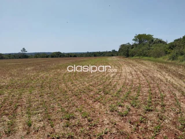Terreno Rural en Los Cedrales - 27 Ha — foto 2