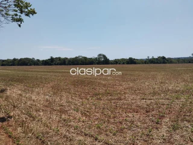 Terreno Rural en Los Cedrales - 27 Ha — foto 3